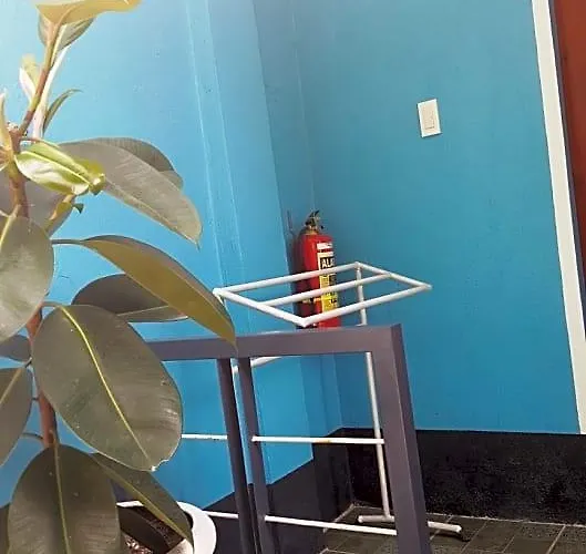Pedz Cing Mango Hotel